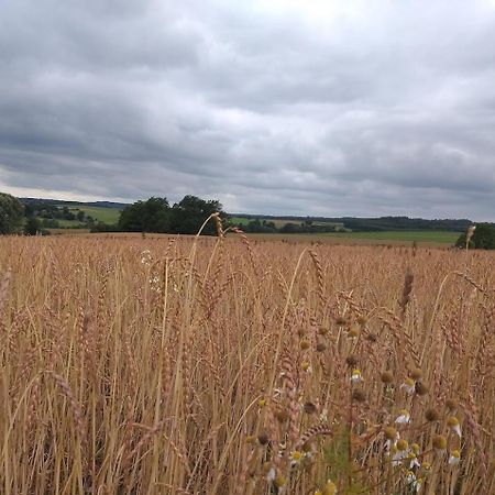Gite Les 7 Frenes Vaux-sur-Sure ภายนอก รูปภาพ
