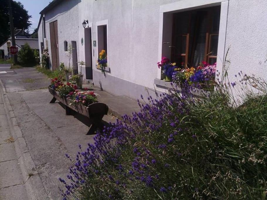 Gite Les 7 Frenes Vaux-sur-Sure ภายนอก รูปภาพ